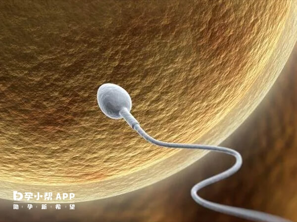 透明带反应是在精子接触卵细胞膜的瞬间发生
