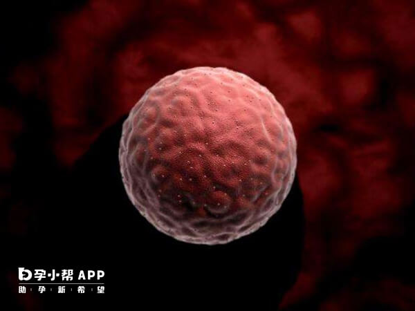六细胞三级胚胎质量不佳