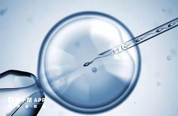卵子基因异常可选择供卵受精受孕