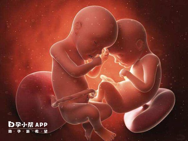 人工受孕不能保证百分之百怀上双胞胎