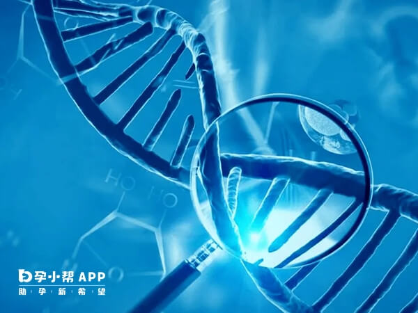 三代试管就是筛查染色体和基因