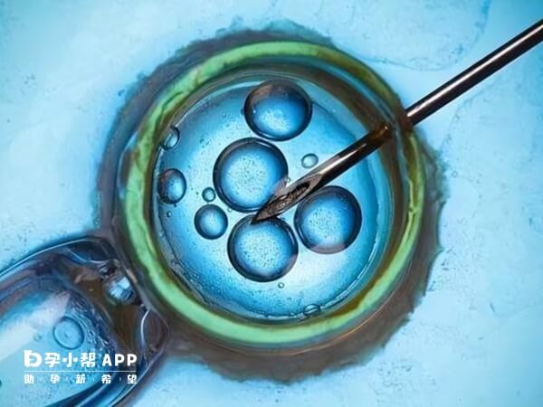 嵌合体胚胎移植风险较大