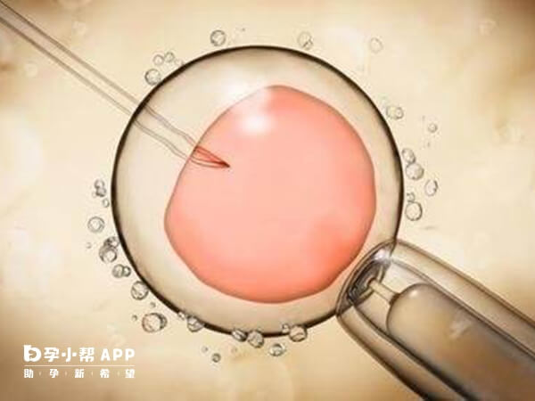 女性患单纯性疱疹移植胚胎会导致胎儿畸形