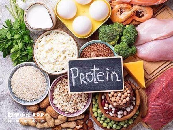 吃高蛋白食物对胚胎着床有帮助