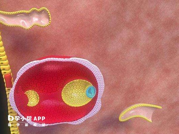 试管移植对子宫内膜厚度有要求