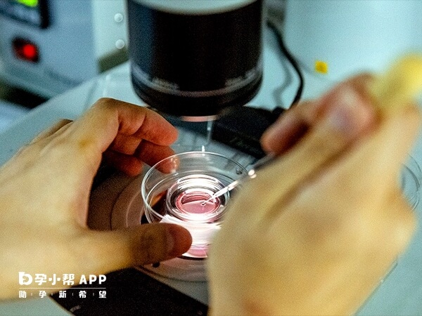 三代试管可以筛查掉染色体结构或数量异常的胚胎