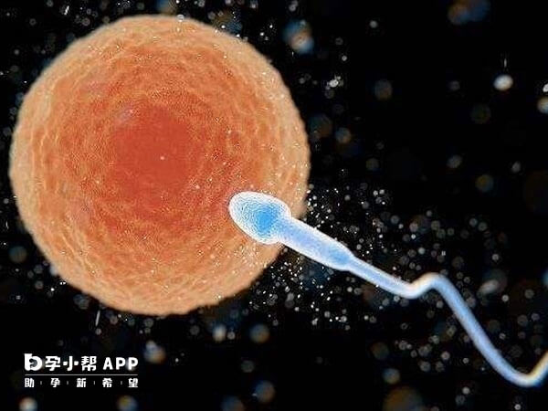 精卵受精异常会导致3pn受精卵的出现