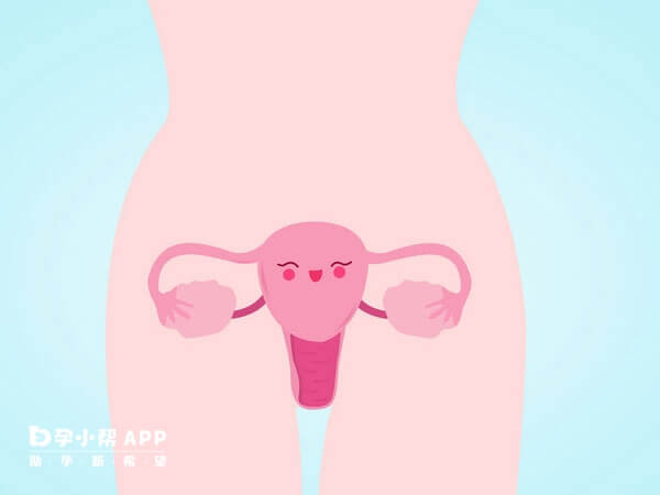 子宫疤痕憩室积液会影响胚胎发育