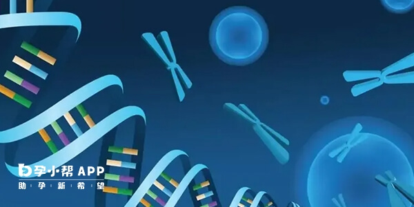 pgs是筛查染色体非整倍体的一种技术