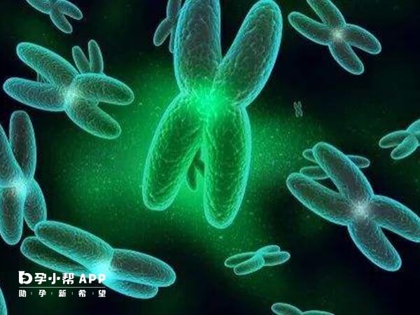 染色体异常会导致胚胎生化