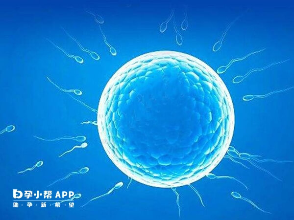 胚胎质量不佳会导致生化妊娠