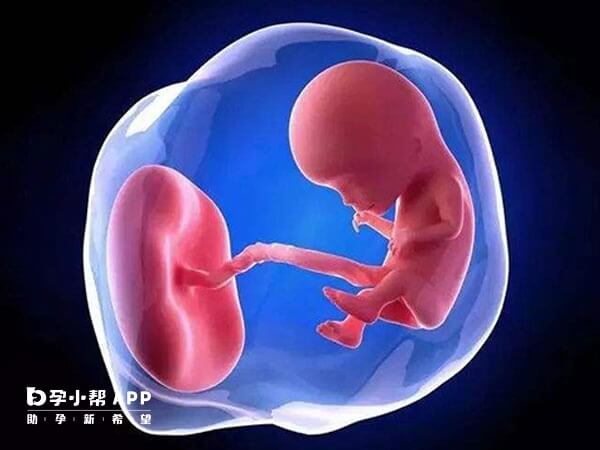 女方有乙肝会通过胎盘感染胎儿