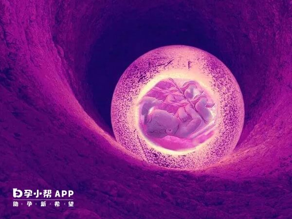 内膜转化后有助于胚胎着床