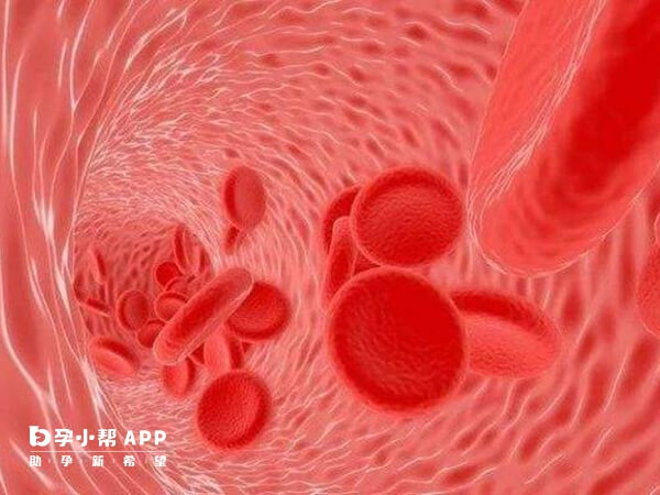 凝血功能异常会影响胎儿发育