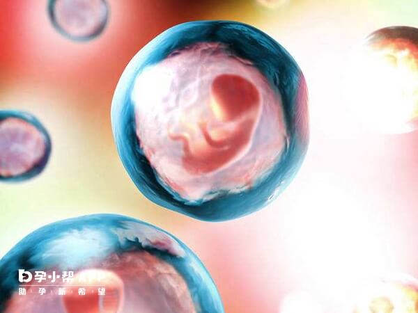 试管婴儿移植一个胚胎怀双胞胎几率低