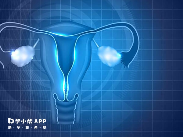 卵巢激活术适用于卵巢早衰患者