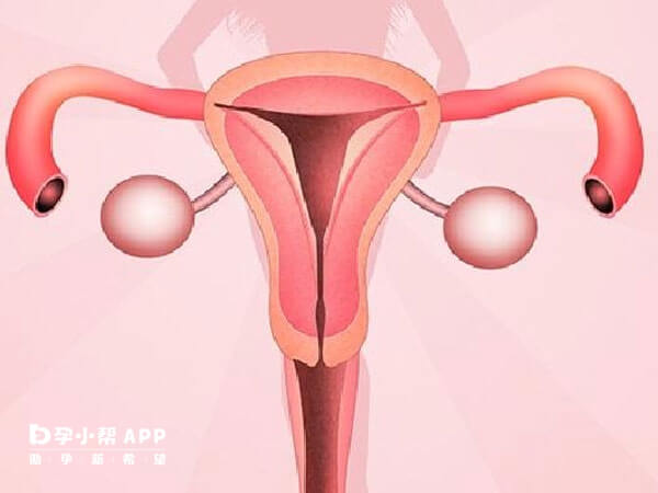 子宫腺肌症的病症程度对试管婴儿有影响