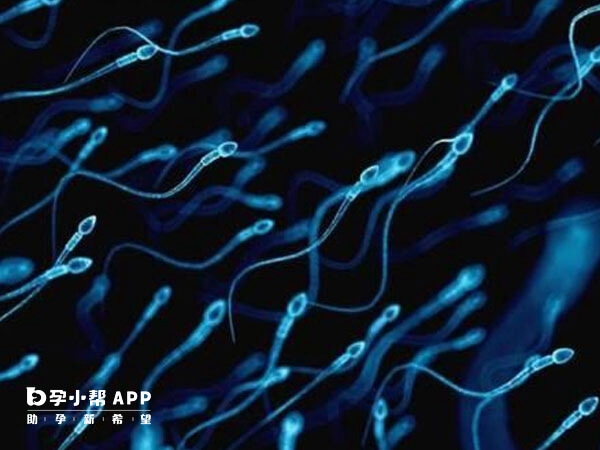 精子质量差会导致培养的胚胎质量差
