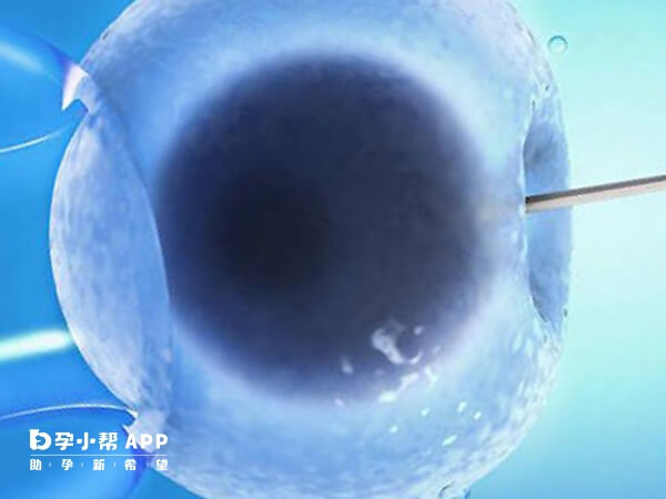 冻胚移植对内膜厚度有要求