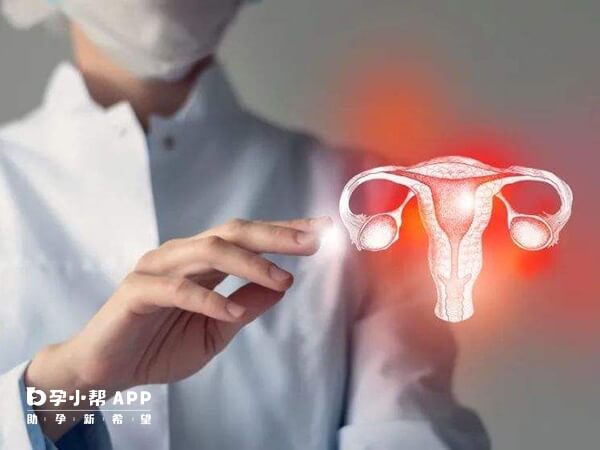卵巢内分泌性肿瘤会导致雌二醇升高