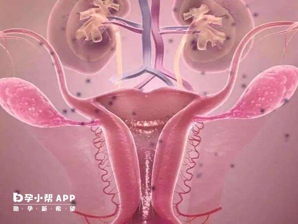 卵巢衰老会出现几个月不来月经的症状