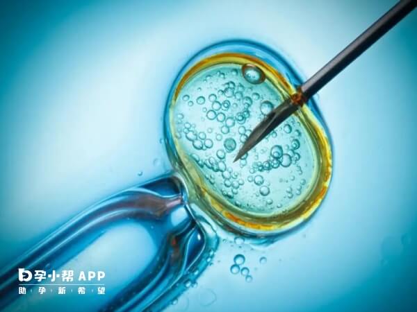 胚胎辅助孵化可以提高移植成功率