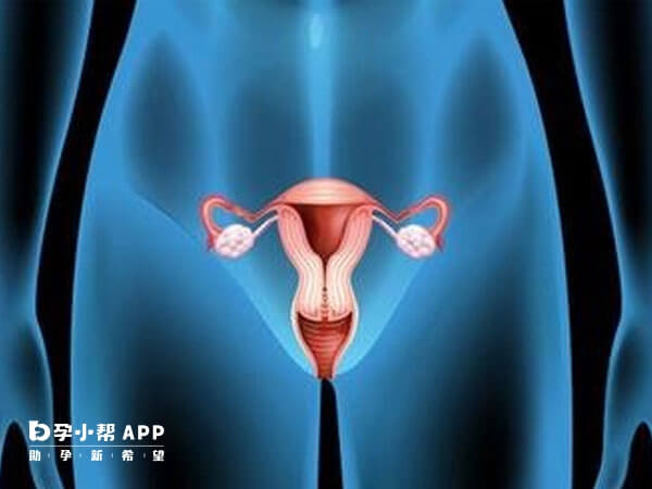 腹腔镜手术后需要调理子宫环境