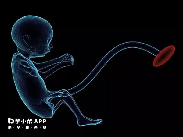 胎盘早剥会影响母体和胎儿生命健康