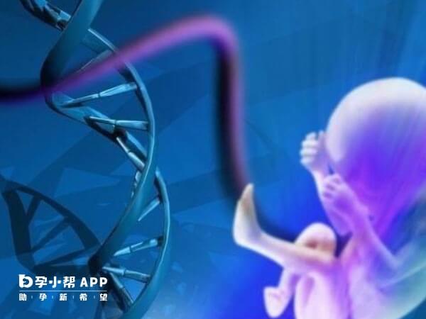 三代试管婴儿可以规避很多基因问题