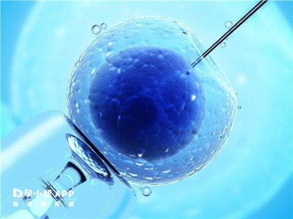 自体骨髓细胞线粒体卵胞浆内注射可以提高卵子质量