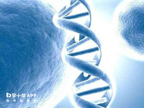 三代试管婴儿只能筛查单基因遗传疾病