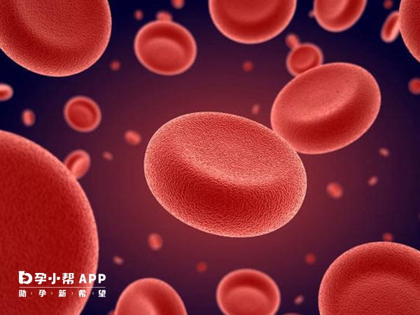 红细胞异常导致的贫血症会遗传给下一代