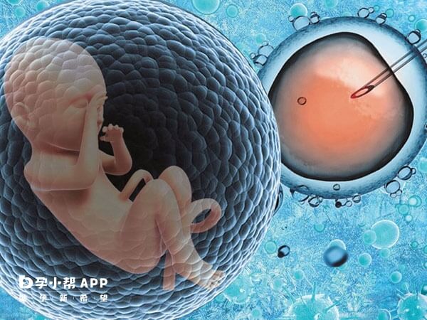 试管婴儿是体外受精