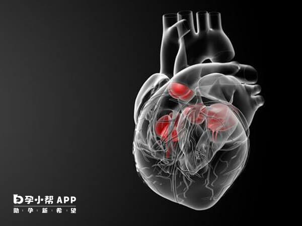 心脏瓣膜置换术不会影响生育能力