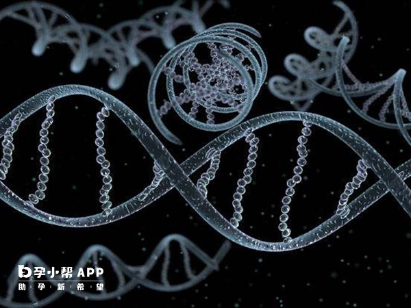 夫妻基因不和可能会导致后代出现染色体异常