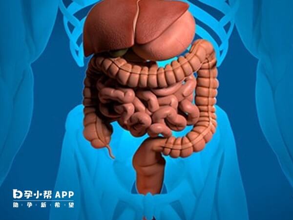 移植后肠痉挛的原因有很多
