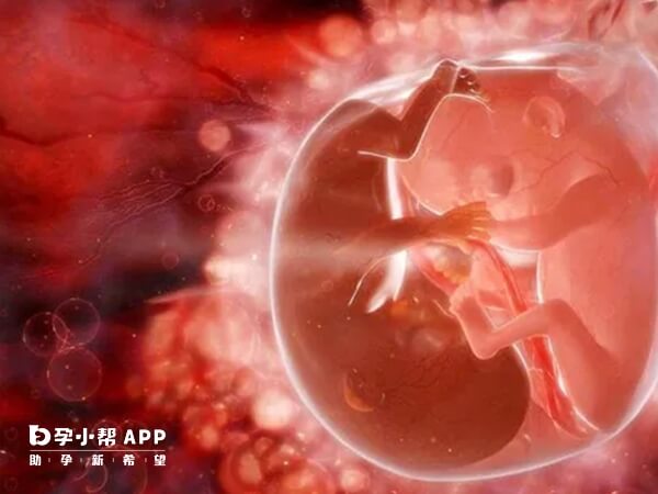 做试管移植有两个胚胎存活就可怀双胞胎