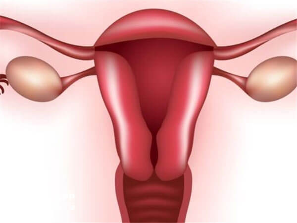 内膜容受性结果会影响胚胎着床率