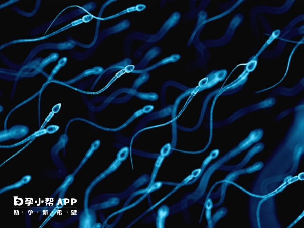 精子质量差还可能会影响胚胎发育