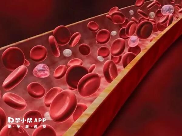 子宫动脉血流可以评估内膜容受性