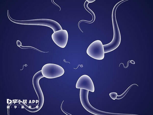 精子畸形率高可以选择做二代试管婴儿