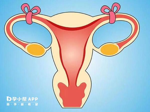 卵巢功能良好可以做输卵管复通
