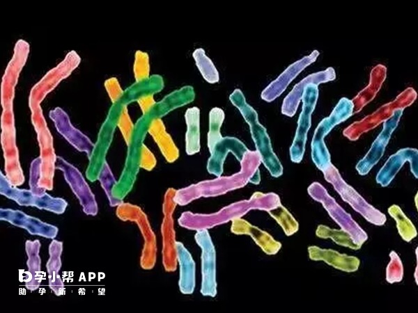 染色体检查是查结构和数目是否异常