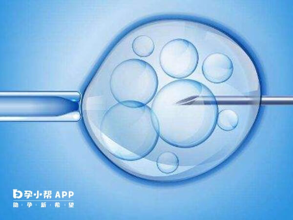 试管可以对胚胎进行基因检测
