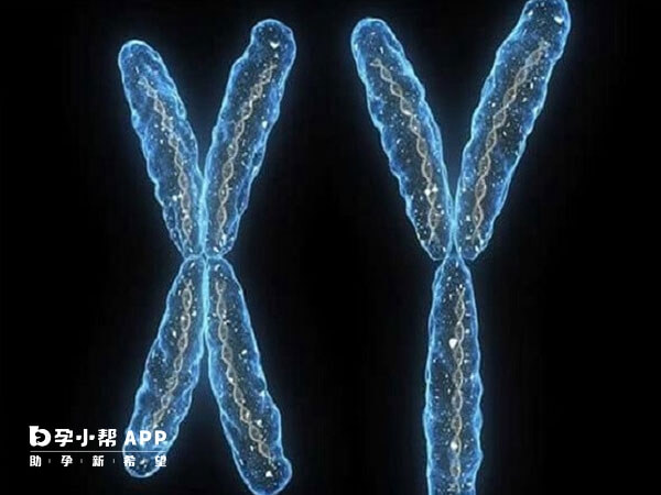 染色体多态性异常可以考虑三代试管婴儿