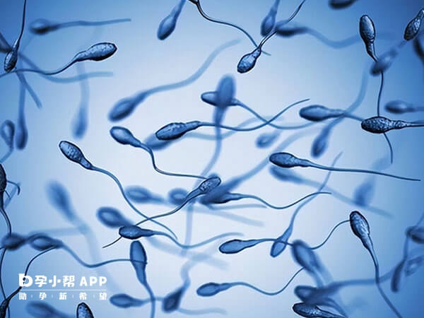 人工授精对男性精子要求比较严格