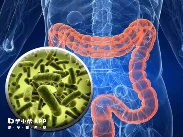 肠道菌群失调会影响免疫系统