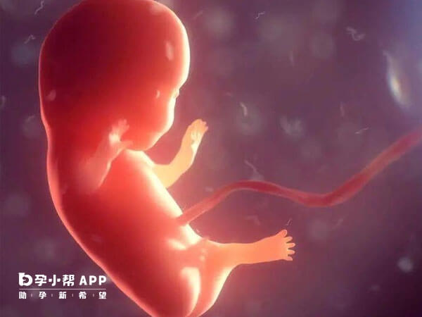 生化妊娠在试管婴儿中比较常见
