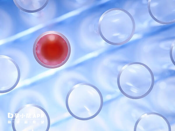 唐山妇幼试管一次移植不超过3个胚胎以上