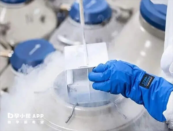 冻胚是放入零下196度的液氮中保存